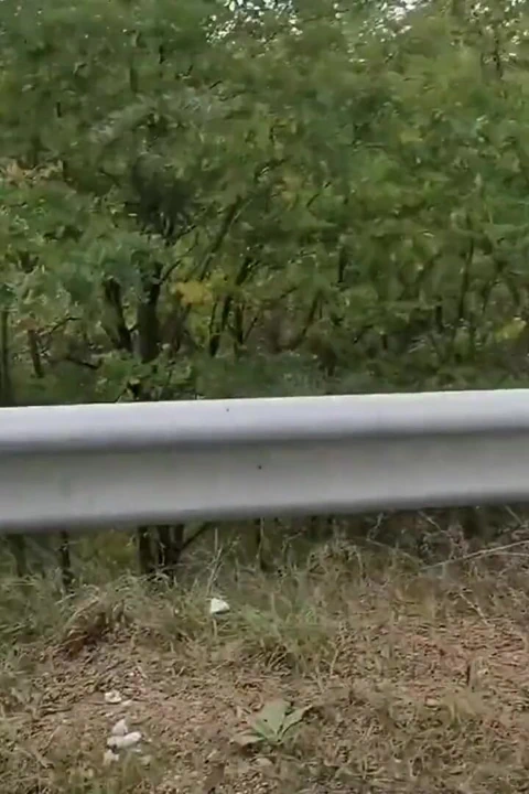 和热辣的Gina Gerson的户外性爱