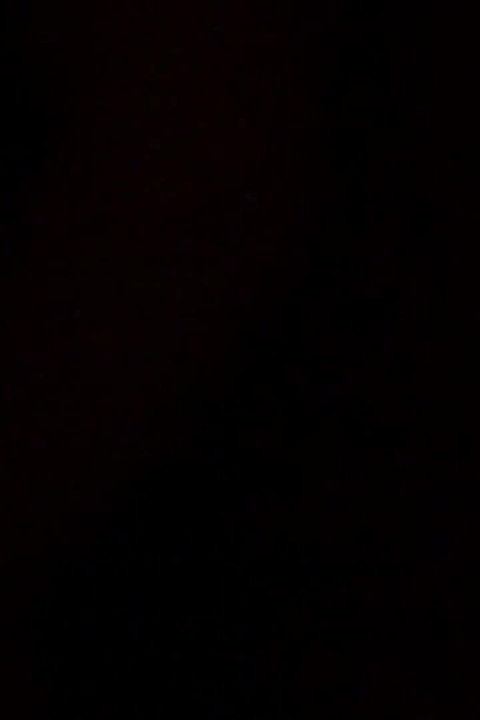 群交秘密特工的另类场景
