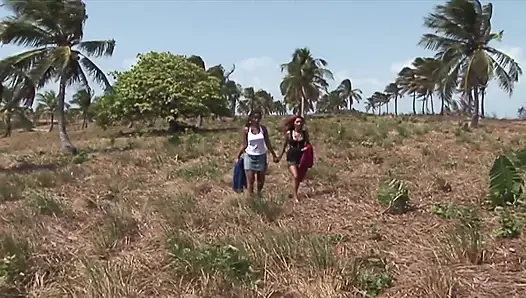 Two sexy tourists fucked in the countryside by a group of men