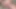 Sevimli tombul genç bbw pawg mastürbasyon yapmak kedi yapay penis ve orgazm