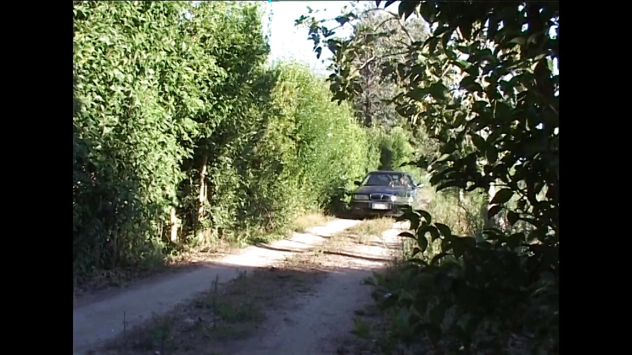 Transice i kurve sa svojim kurčevima u orgiji užitka!!