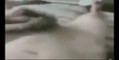 Pratonton Video
