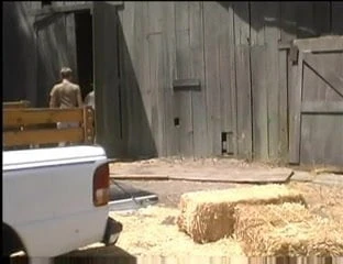 a roll in the hay
