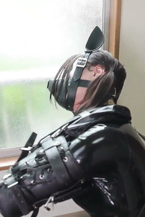 A Puppy Bound with Latex, Walking the Dog