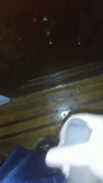 Cumshot