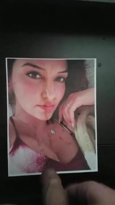 geo antoinette cum tribute