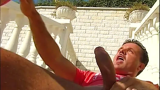 Hot Wild Summer Lovers