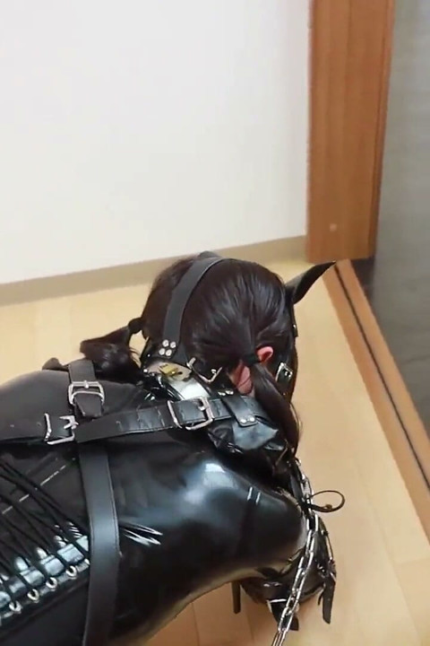 A Puppy Bound with Latex, Walking the Dog