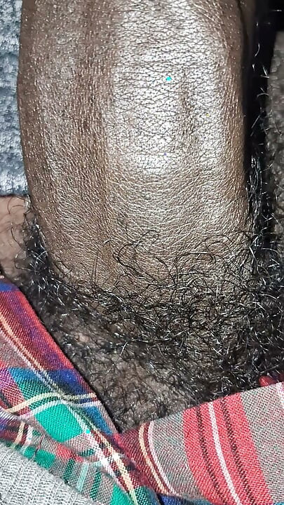 Big Chocolate Meat