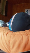 Pregled videozapisa