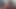 Çirkin cepli gelincik teaser