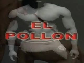 EL POLLON