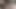 Beatiful black queen creaming on my dick
