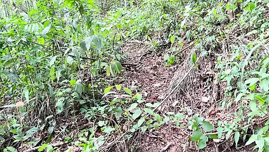 AKU MENEMUKAN PERI SEKSI KE HUTAN