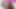 Young Amateur Girl Get Her First Big Black Cock in the Ass! 100% BBC Anal Hardcore! - Bic_2979