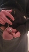 Video pregled