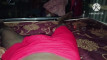 Pregled videozapisa