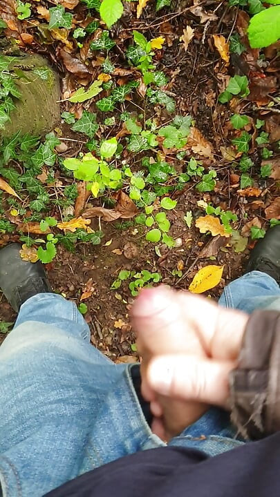 Wixxing u šumi