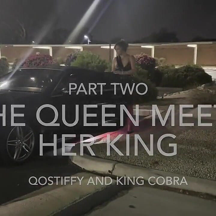 Qostiffy vs. King Cobra Część 2