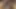 White Latina wife with black lover, homemade interracial cuckold