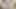 Indian Desi Wife fully hard fucking videos Desi Wife