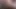 HomemadeTeddyDoll get new pussy  POV creampie