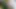Sabahan edging multiple ruined cumshot