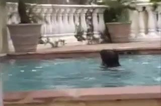 Anal 3some At  The Pool