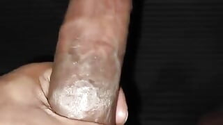 Muslim Bengali cock big size