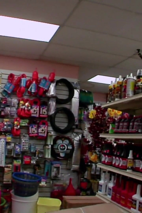 Busty teen screwed deeply by hard dick