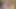 Indian Porn