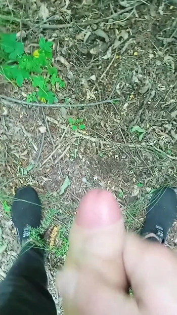 Key moment from "wank cruise. jerking off quickly in the woods until mom sees"