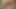 Pawg blir fanget mastürbasyon yapıyor