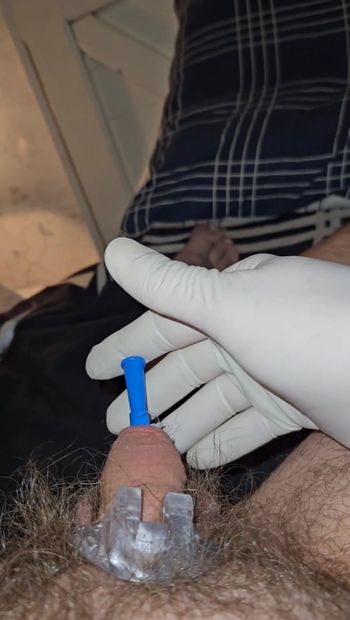 Usando luvas cirúrgicas e inserindo um cateter no pênis
