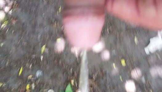 Pissing in the park and cock massage