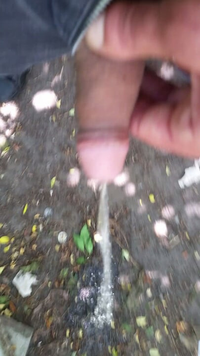 Meando en el parque y masaje de polla