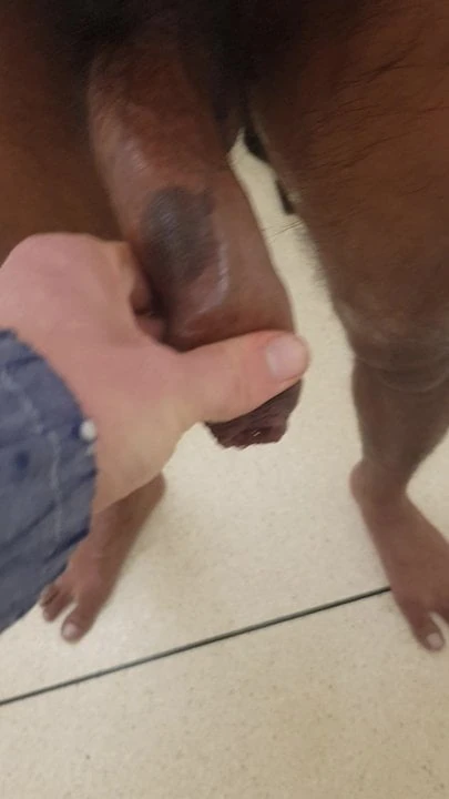 Indian dick pissing in Oxford