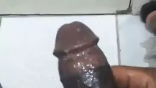 Eu pantera dando uma relaxada
