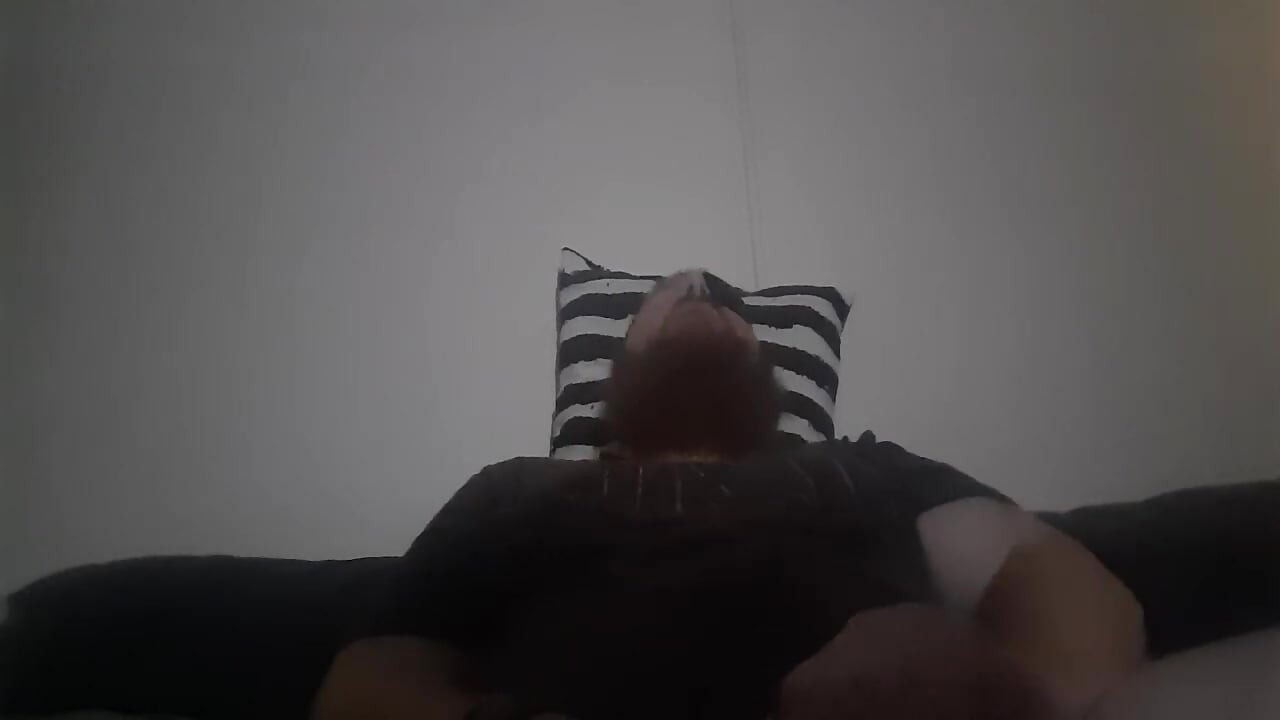 Fan Begs Me to Cum for Them so I Did!