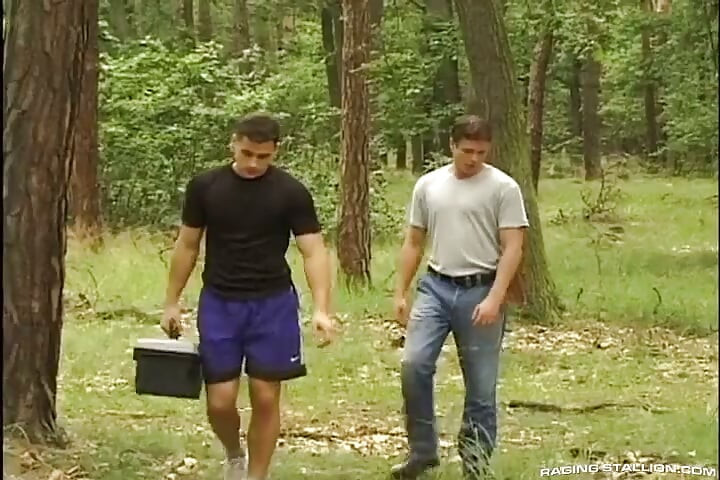 Hard Wood