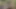 Kocam bana yarak vermek istemediği için bahçıvanı sikiyorum