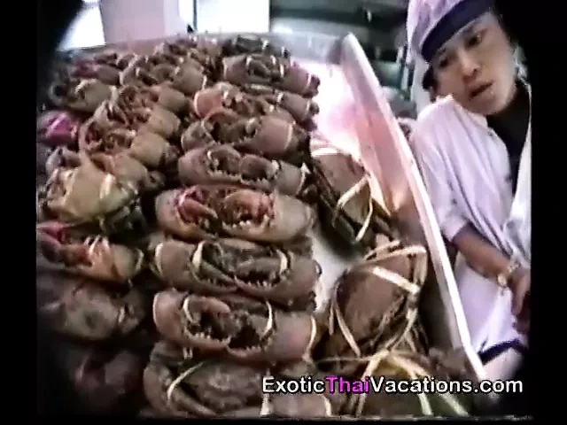 The Erotic Women of Pattaya