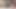 الملاك الآسيوي 26201