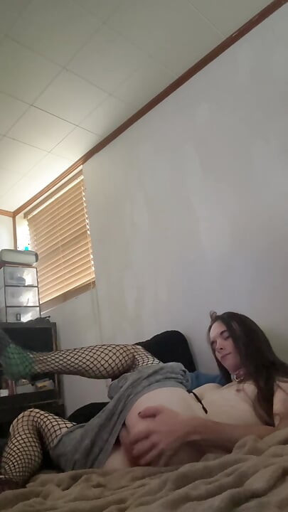 Trans Pet úgy dönt, hogy felfedezi magát, amíg a gazdája távol van!