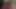 BJ, Dildo Fucking, Riding & Sucking