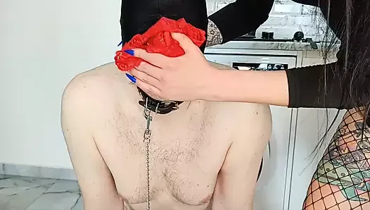 Dirty panty fetish. Dominatrix Nika makes the slave smell her red worn panties.