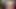 Request trib for a sexy hamster wife