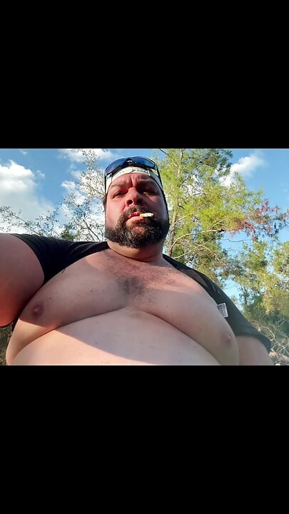 Bear Playing in the Woods