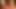 Big tits babes fucking with a futa bartender in a 3d animation