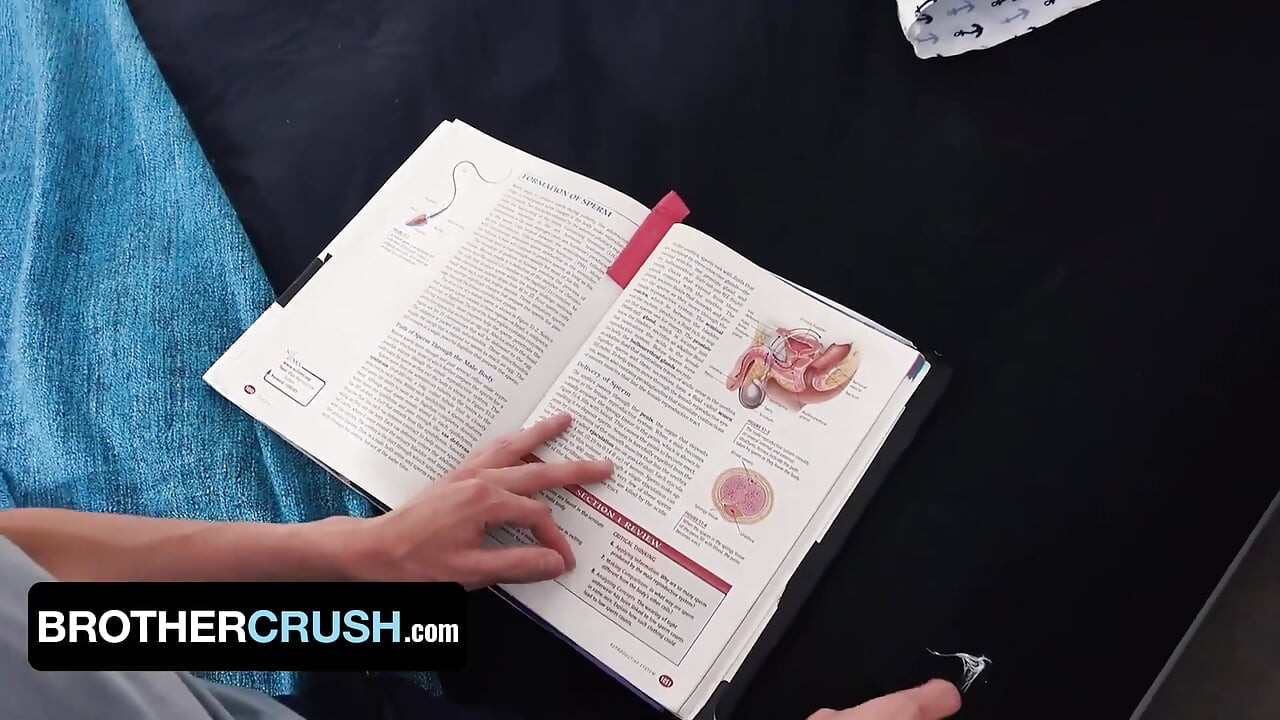 Perv Stepbro Gives Young Stepbrother InDepth Biology Lesson And Creampies His Asshole